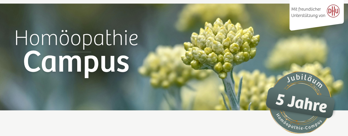 Header 2026 final (11)