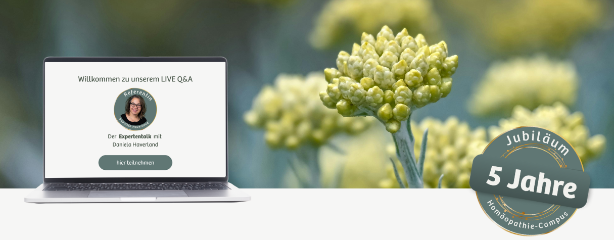 Header 2026 final (14)